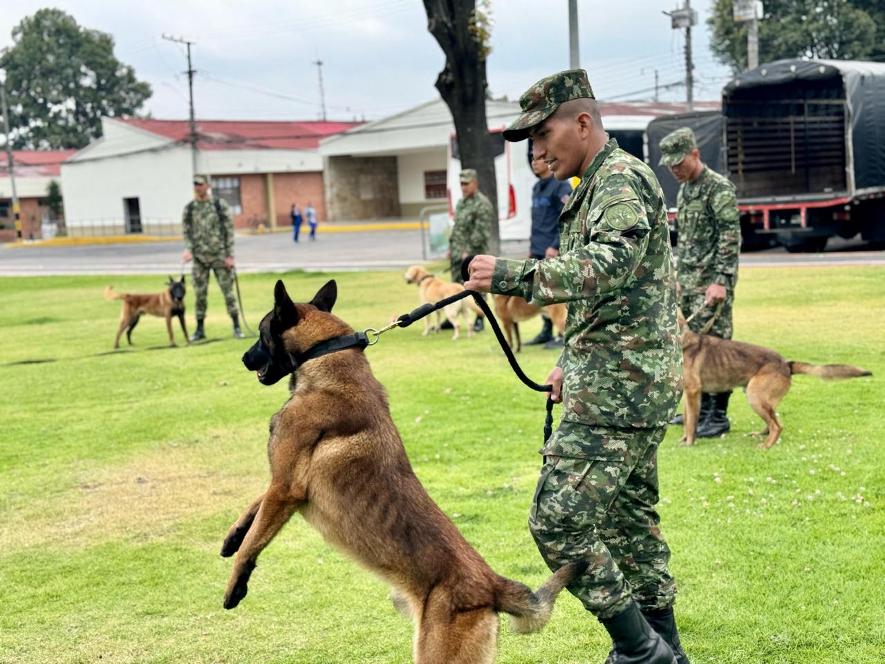 20 nuevos guías caninos fortalecen las capacidades operacionales del Ejército Nacional